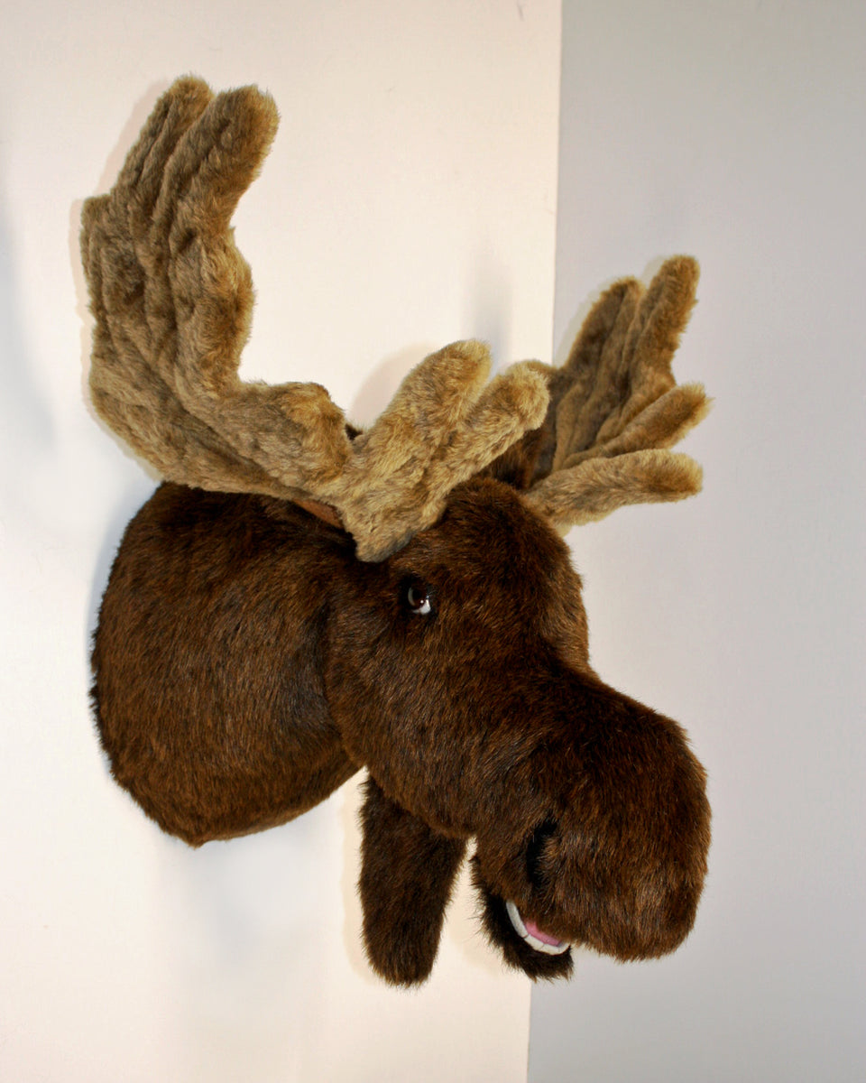 Stuffed deals moose head