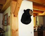 Black Bear - Largest Plush Wall Mount - 'Shash'