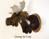 Moose Medium Plush Wall Mount - 'George'