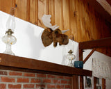 Moose Medium Plush Wall Mount - 'George'