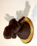 Moose Small Plush Wall Mount - 'Maynard'