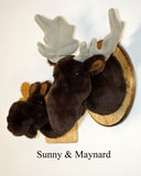 Moose Small Plush Wall Mount - 'Maynard'