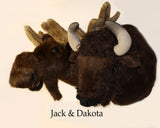 Buffalo X-Large Plush Wall Mount - 'Dakota'