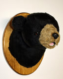 Bear Black Small Plush Wall Mount - 'Harry'