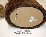 Moose XX-Large Plush Wall Mount - 'Jack'