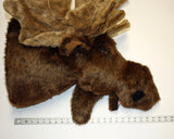 Moose XX-Large Plush Wall Mount - 'Jack'