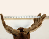 Moose XX-Large Plush Wall Mount - 'Jack'
