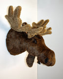 Moose XX-Large Plush Wall Mount - 'Jack'