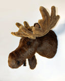 Moose XX-Large Plush Wall Mount - 'Jack'