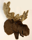 Moose XX-Large Plush Wall Mount - 'Jack'