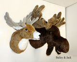 Moose XX-Large Plush Wall Mount - 'Jack'