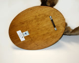 Moose Large Plush Wall Mount - 'Mitch'