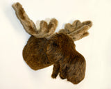 Moose Large Plush Wall Mount - 'Mitch'