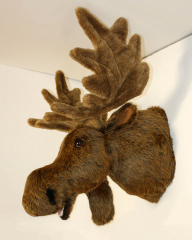 Moose XXX-Large Plush Wall Mount - 'Ranger'