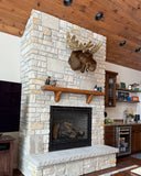 Moose XXX-Large Plush Wall Mount - 'Ranger'