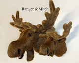 Moose XXX-Large Plush Wall Mount - 'Ranger'