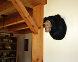 Bear Black Large Plush Wall Mount - 'Sam'