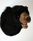 Bear Black Large Plush Wall Mount - 'Sam'