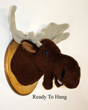 Moose medium Plush Wall Mount - 'Shorty'
