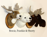 Moose medium Plush Wall Mount - 'Shorty'