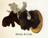 Moose medium Plush Wall Mount - 'Shorty'