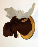 Moose medium Plush Wall Mount - 'Shorty'