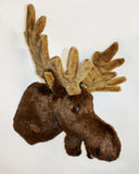 Moose Largest Plush Wall Mount - 'Weston'