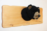 Cap rack with Plush Animal Mount - Bear or Buffalo