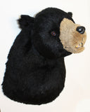 Black Bear - Largest Plush Wall Mount - 'Shash'