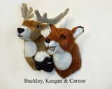 Red Fox Medium Plush Wall Mount - 'Carson' - Fairgame Wildlife