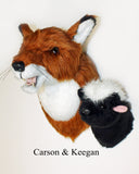 Red Fox Medium Plush Wall Mount - 'Carson' - Fairgame Wildlife