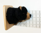 Bear Black Tiny Plush Wall Mount - 'Clark'