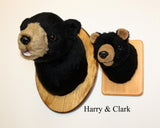 Bear Black Small Plush Wall Mount - 'Harry'
