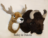 Buffalo X-Large Plush Wall Mount - 'Dakota'