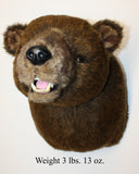 Bear Brown X-Large Plush Wall Mount - 'Hunter'