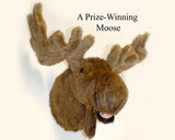 Moose XX-Large Plush Wall Mount - 'Jack'