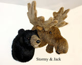 Moose XX-Large Plush Wall Mount - 'Jack' - Fairgame Wildlife