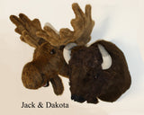 Buffalo X-Large Plush Wall Mount - 'Dakota' - Fairgame Wildlife