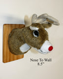 Deer Red Nose Tiny Plush Wall Mount - 'Johnny Red-Nose'