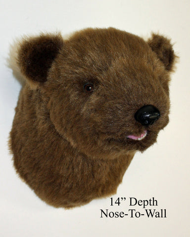 Brown bear head mount on a white background with text indicating depth.
