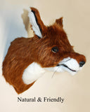 Red Fox Medium Plush Wall Mount - 'Katherine'