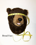 Bear Brown Large Plush Wall Mount - 'Major"