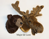Bear Brown Large Plush Wall Mount - 'Major"