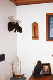 Moose Small Plush Wall Mount - 'Maynard'