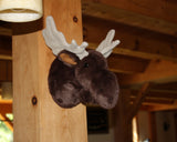 Moose Small Plush Wall Mount - 'Maynard'