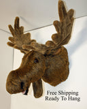 Moose XXX-Large Plush Wall Mount - 'Ranger'