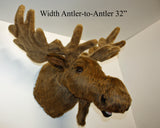 Plush moose head  on a white background. Text: Width Antler-To-Antler  32"
