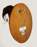 Bear Brown Small Plush Wall Mount - ' Rusty'
