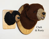 Bear Brown Small Plush Wall Mount - ' Rusty'