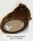 Bear Kodiak Plush Wall Mount - 'Shash'